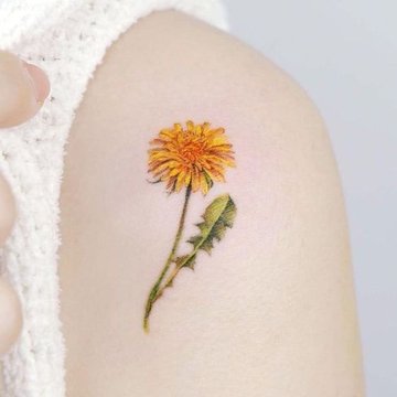 Paardenbloem tattoo