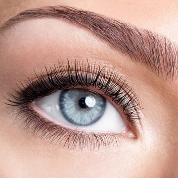 Thin Eyebrows