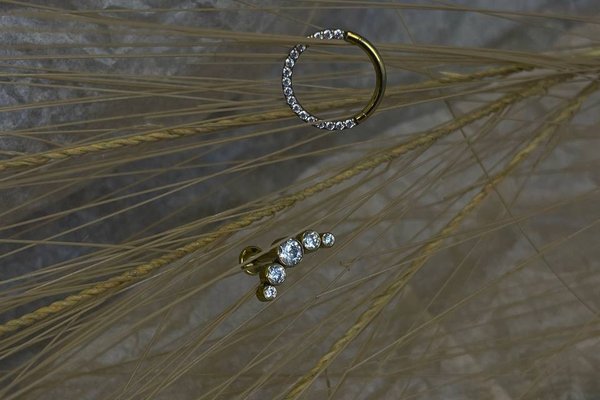 Piercing opleiding in Haarlem