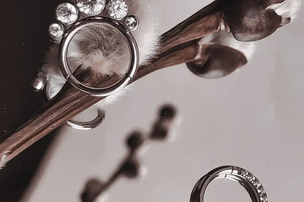 Piercing Courses in the Netherlands