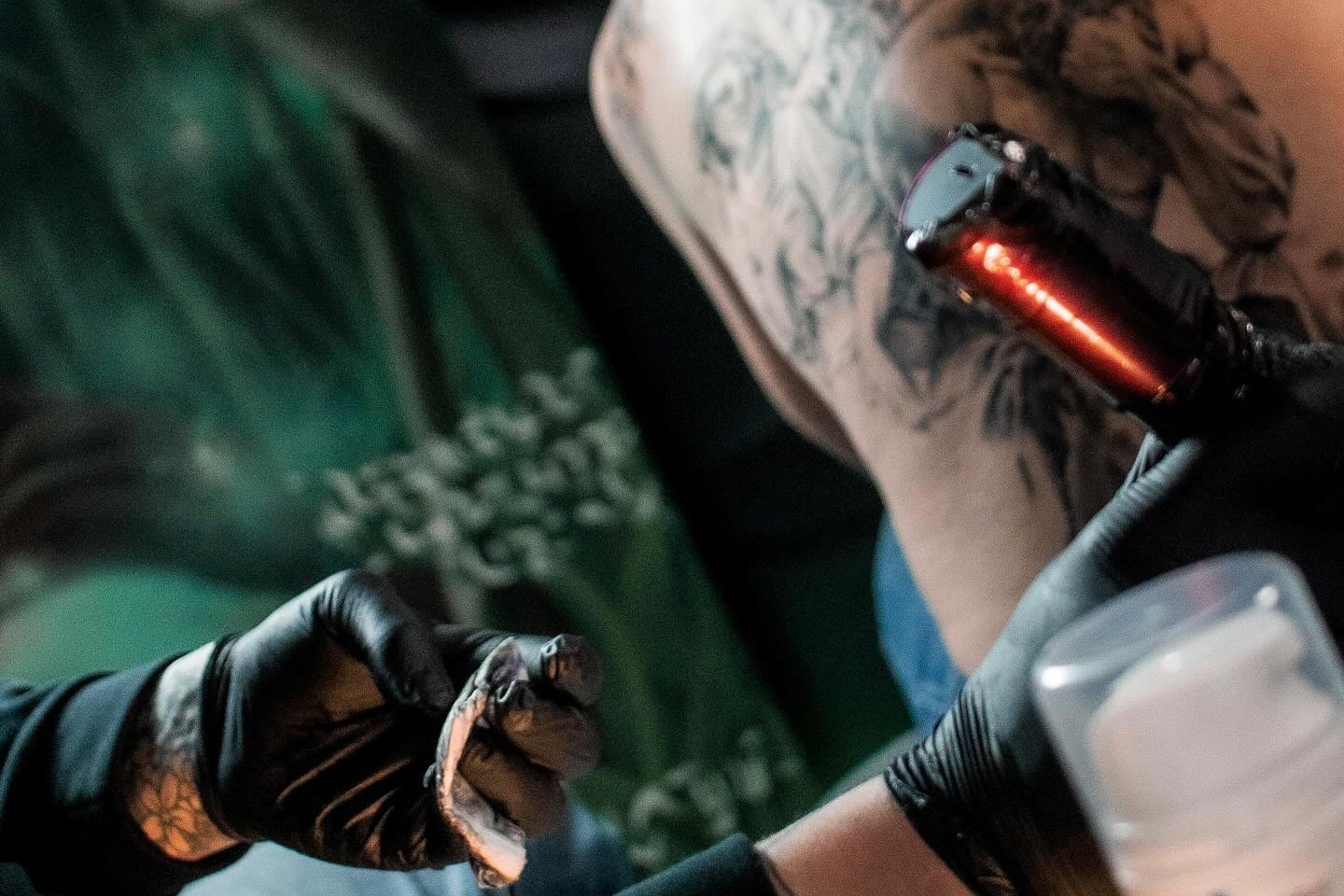 Aftercare for tattoo