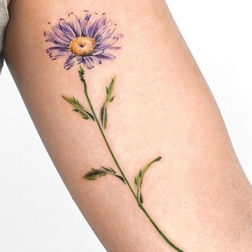 Daisy Tattoo