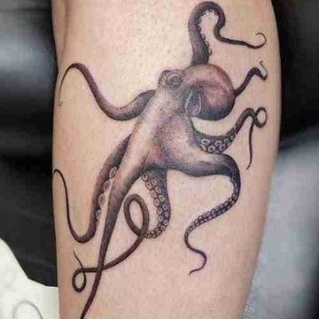 octopus tattoo