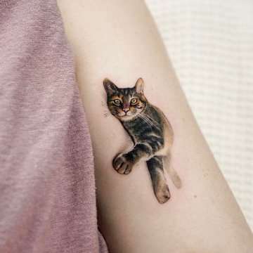 Katten Tattoo