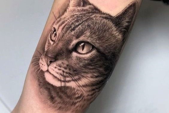 Katten Tattoo