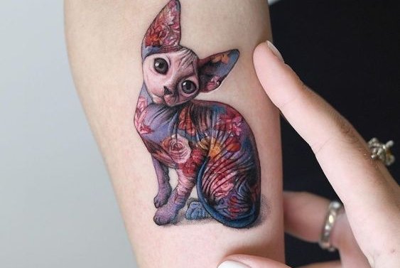 Katten Tattoo