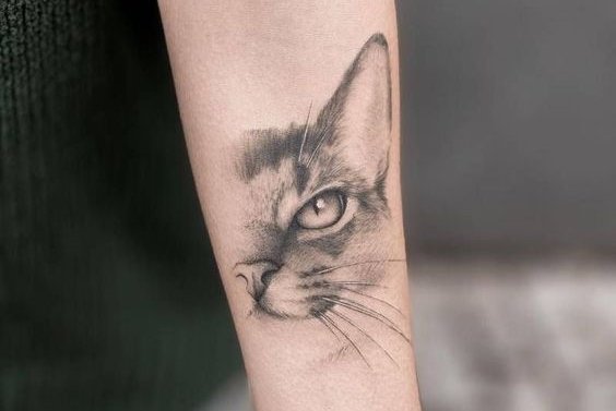 Katten Tattoo