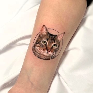 Katten Tattoo