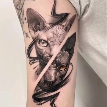 Katten Tattoo