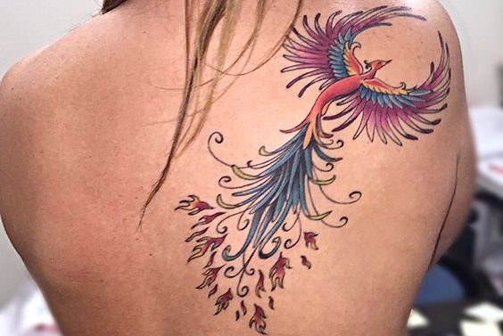 Feniks tattoo