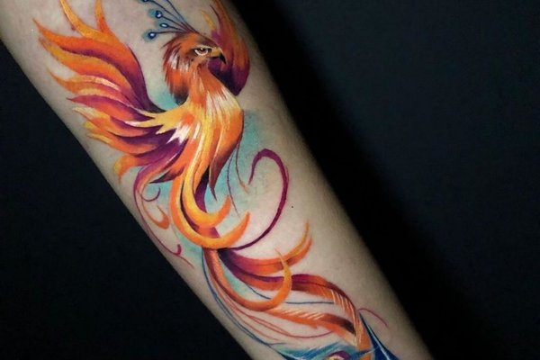 Feniks tattoo