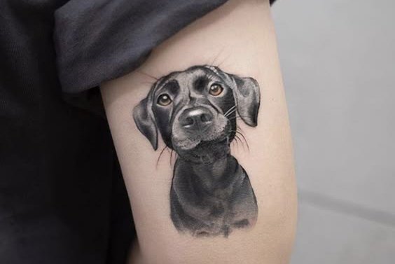 dog tattoo