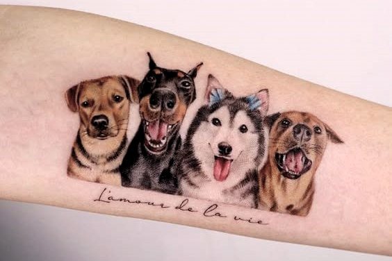 dog tattoo