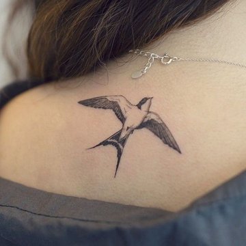 Zwaluw tattoo