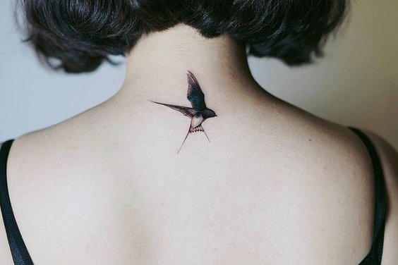 Zwaluw tattoo