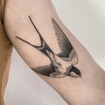 Zwaluw tattoo