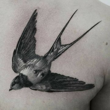 Zwaluw tattoo