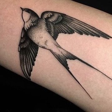 Zwaluw tattoo