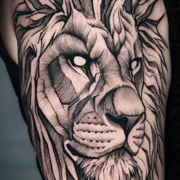 Lion Tattoo