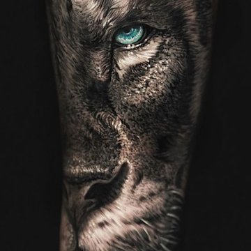 Lion Tattoo