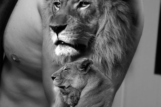 Lion Tattoo
