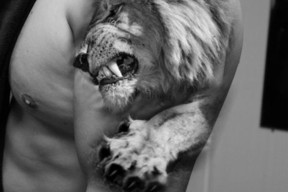 Lion Tattoo