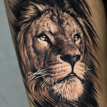 Lion Tattoo