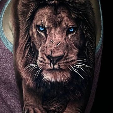Lion Tattoo
