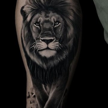 Lion Tattoo