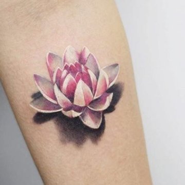 Tattoo Lotus