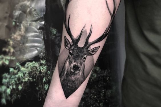 deer tattoo