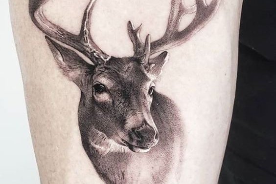 deer tattoo