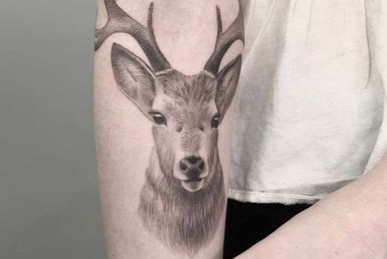 deer tattoo