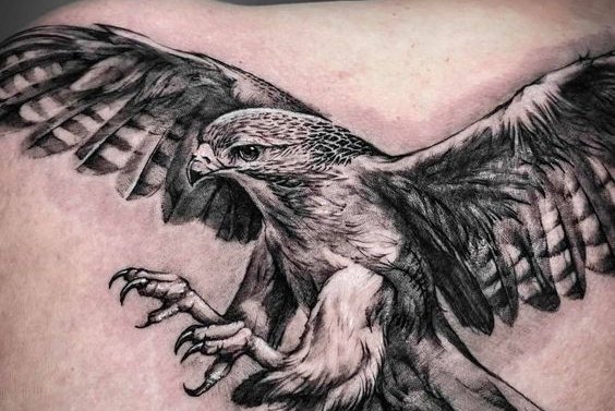 Eagle tats