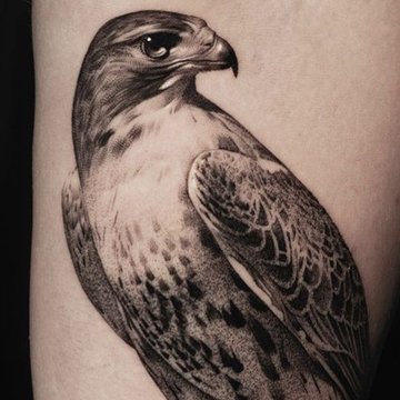Eagle tats