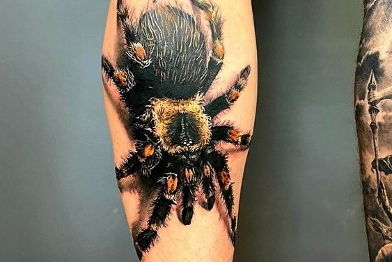 spinnen-tattoo