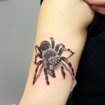 spinnen-tattoo