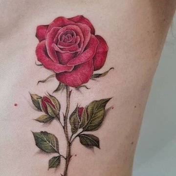 Rose Tattoo