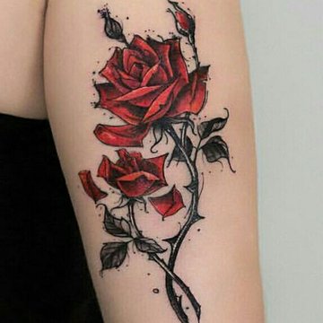 Rose Tattoo