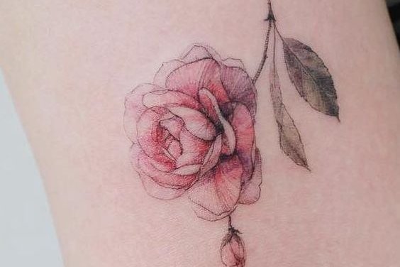 Rose Tattoo