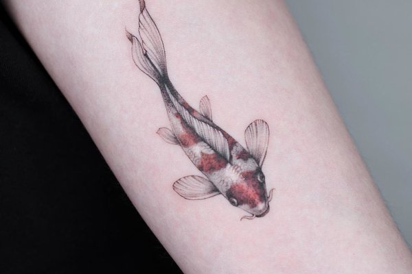 Koi Vis Tatoeage