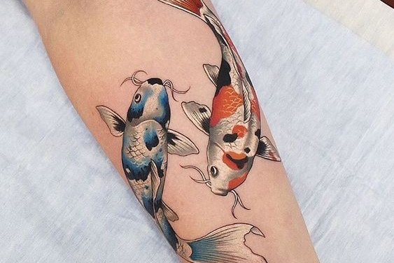 Koi Vis Tatoeage