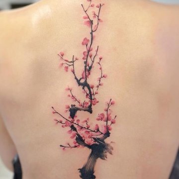 Sakura Tatoeages