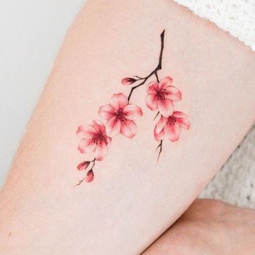 Sakura Tatoeages