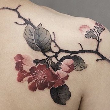 Sakura Tatoeages