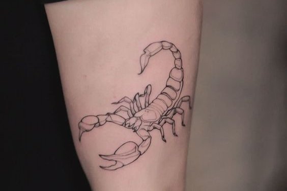 Schorpioen tattoo