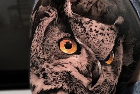 Uil tattoo