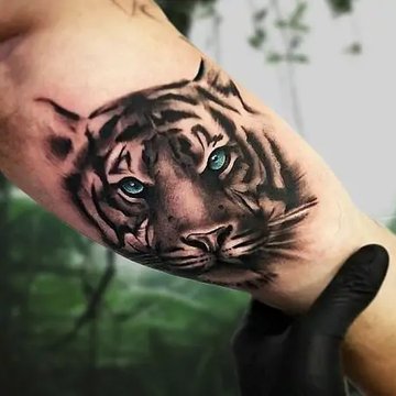 Tattoo Tijger