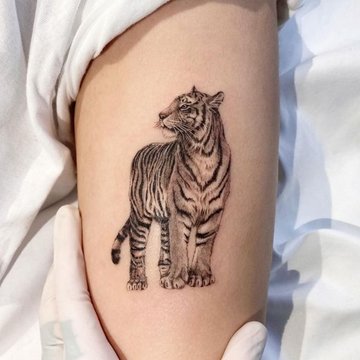 Tattoo Tijger