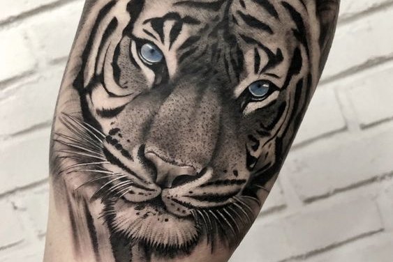 Tattoo Tijger